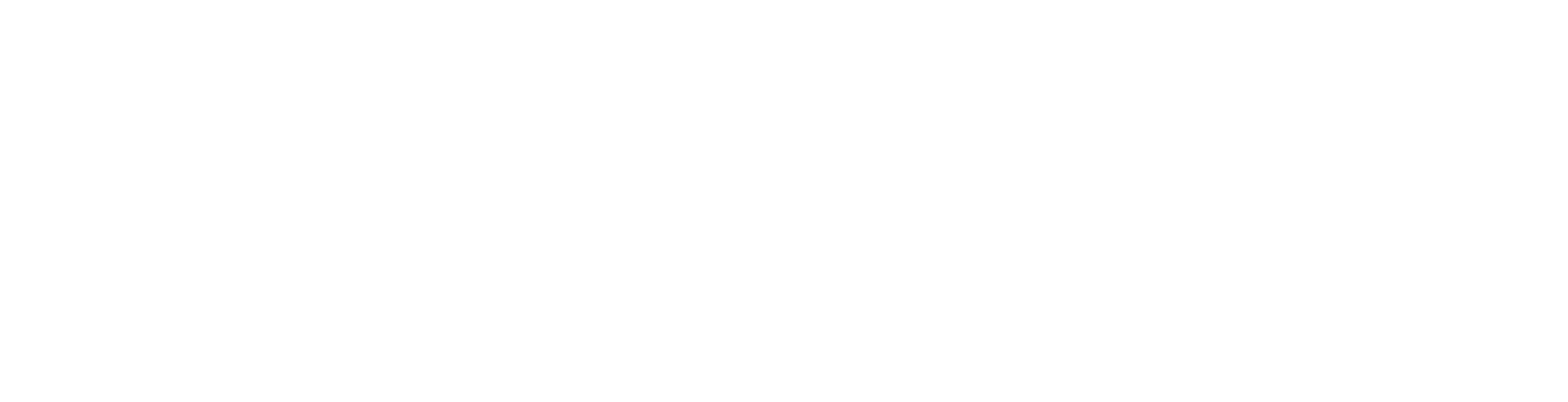 Lewis River Race Development logo